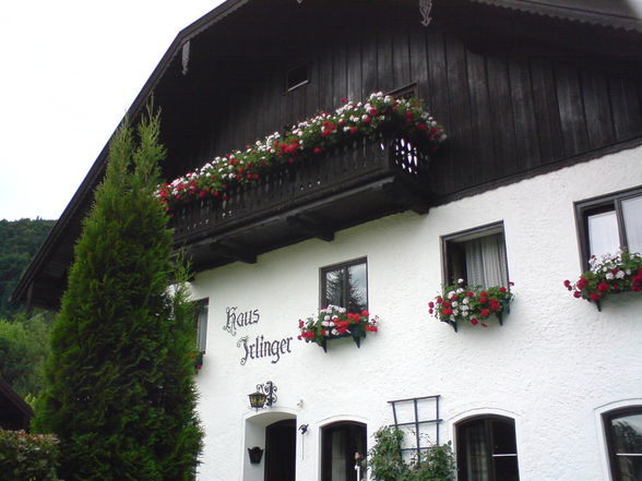 Urlaub St.Gilgen  - 