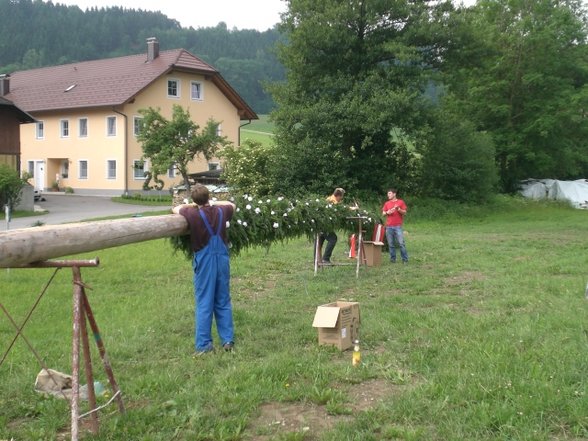 Maibaum zruckbringa Oberthal 3.6.07 - 