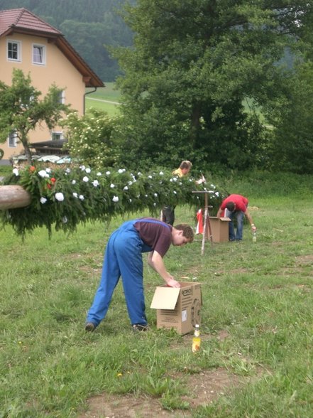 Maibaum zruckbringa Oberthal 3.6.07 - 