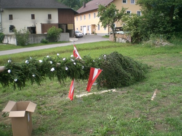 Maibaum zruckbringa Oberthal 3.6.07 - 