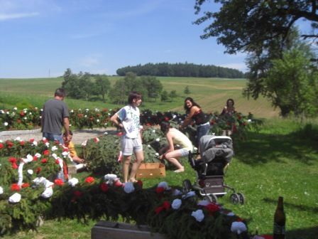 Maibaumrückbringung Lungitz  - 