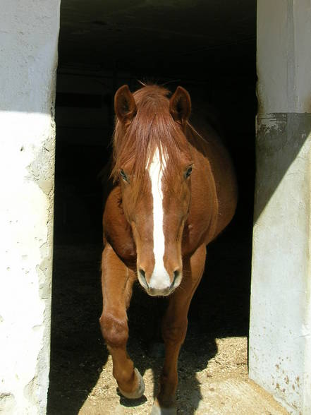 Mein kleiner Bandit - 