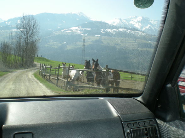 Dakota Ranch - 