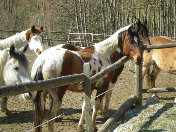 Dakota Ranch - 