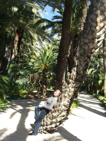 el jardín: huerto del cura - 