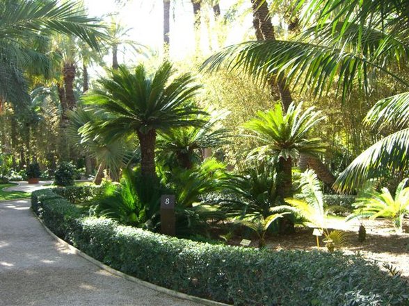 el jardín: huerto del cura - 