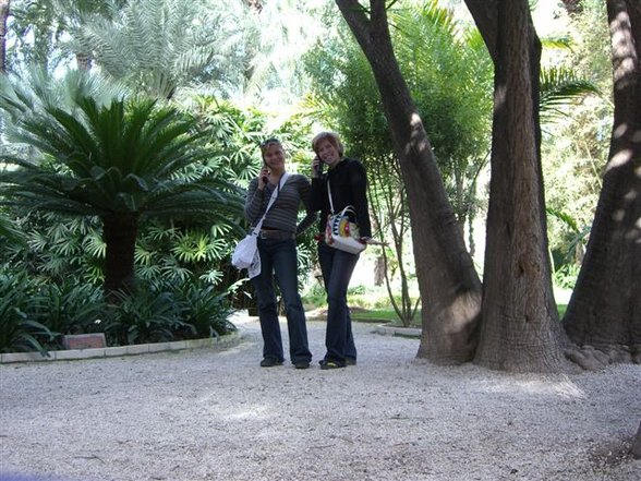 el jardín: huerto del cura - 