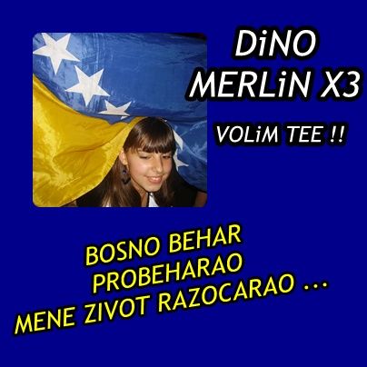 DiNO MERLiN x3  - 