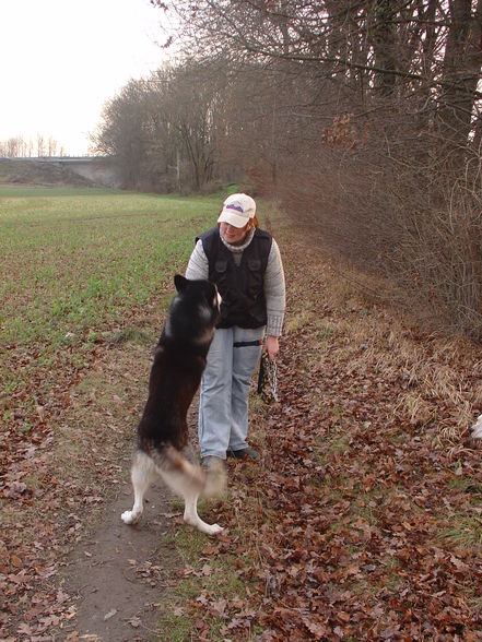 Zum andenken an meinen Husky Nanuk - 