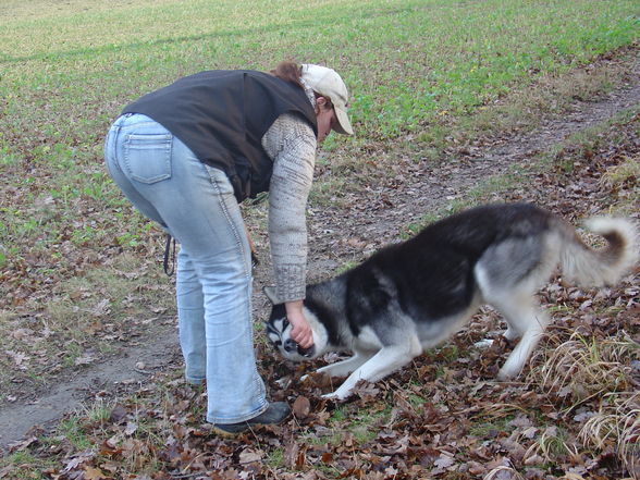 Zum andenken an meinen Husky Nanuk - 