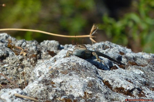 Côte d'Azur 2011 - 