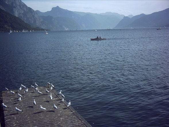 Ausflug Traunsee - 