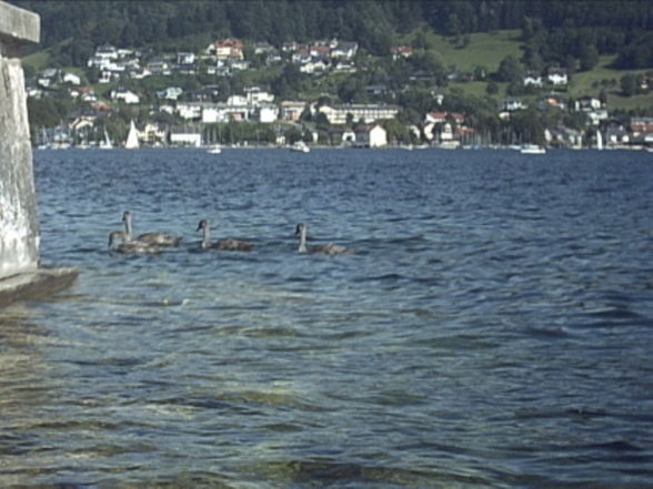 Ausflug Traunsee - 