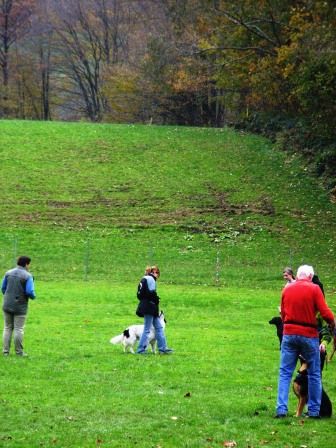 Arbeit, Freizeit, Freunde, Tiere - 