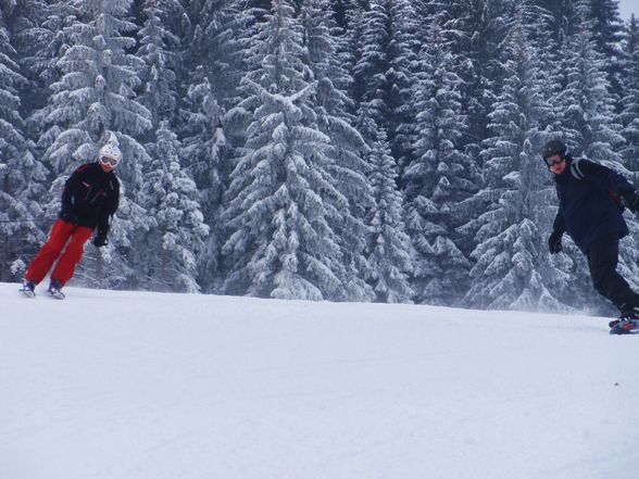 Schihütte - 