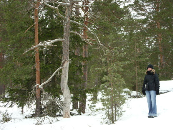 Eislaufen und Winterwanderung - 