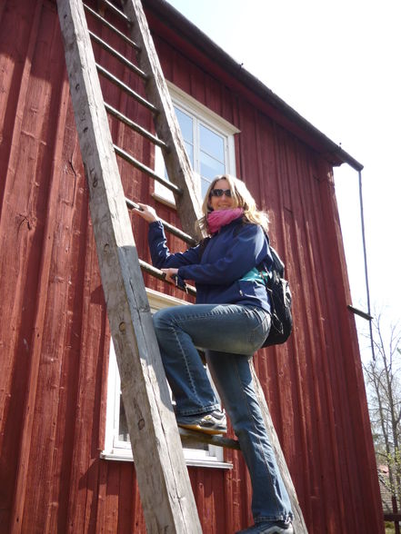 Sauresaari - Freilichtmuseum - 