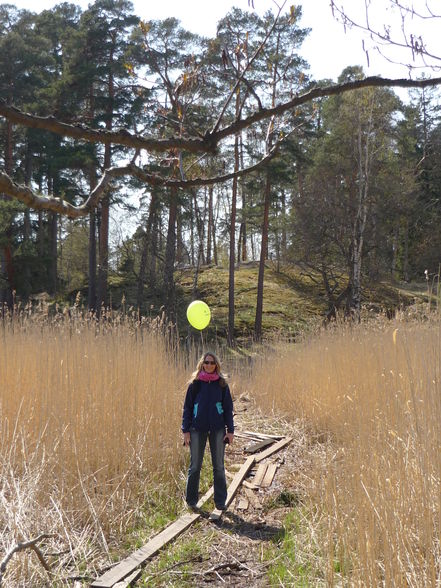 Sauresaari - Freilichtmuseum - 