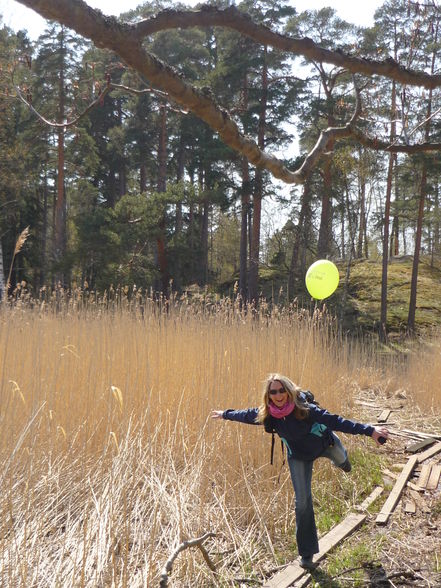 Sauresaari - Freilichtmuseum - 