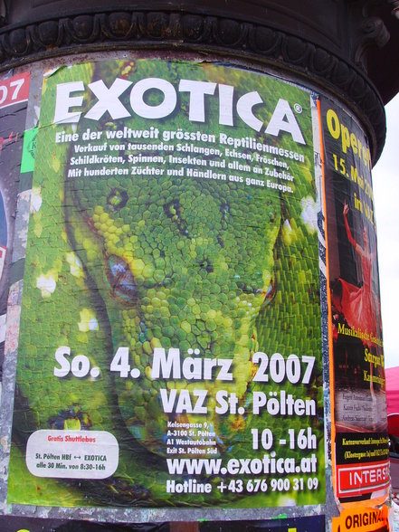 Exotica 04.03.2007 - 