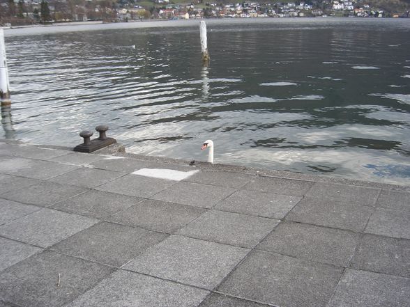 Gmunden - 