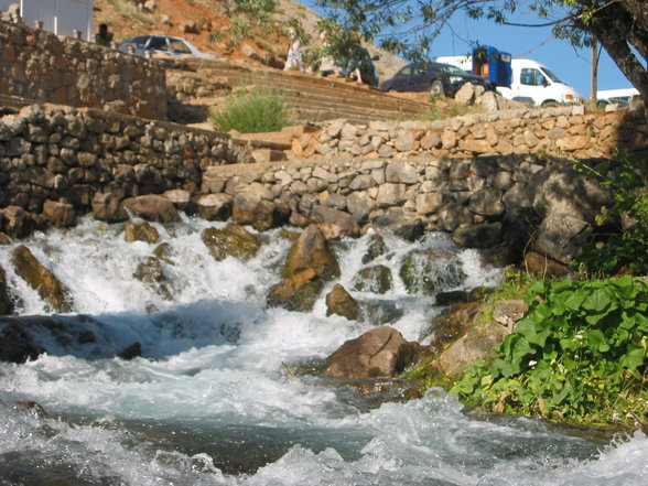 Dersim - 