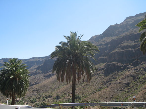 Gran Canaria mit MEL 2007 - 