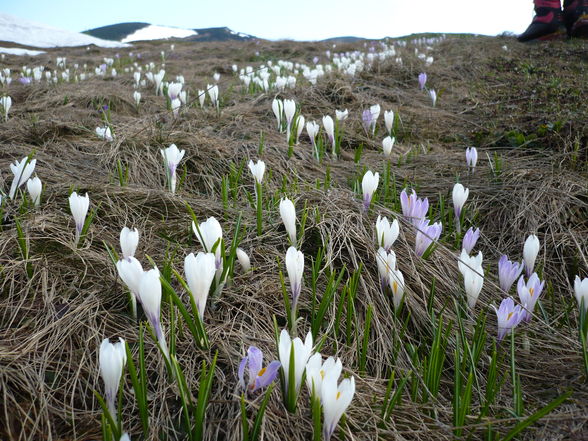 bergsteigen - 