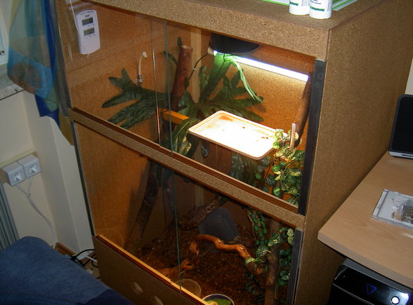 Mein neues Terarium - 