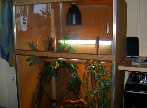 Mein neues Terarium - 