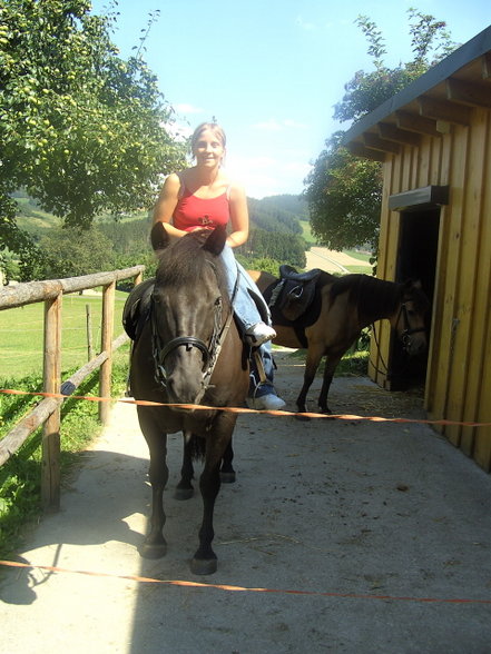 Reiten - 