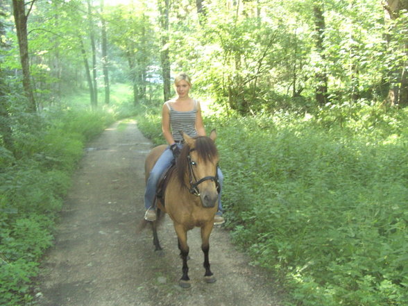 Reiten - 