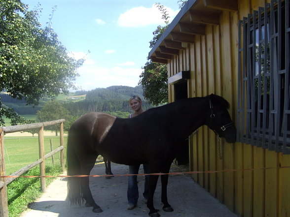 Reiten - 