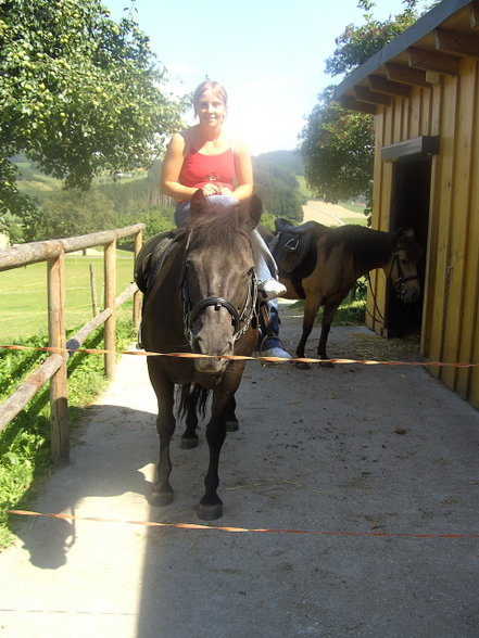 Reiten - 