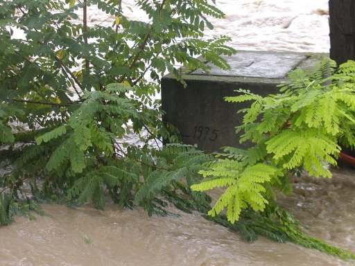 Hochwasser bei men Onkel - 