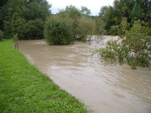 Hochwasser bei men Onkel - 