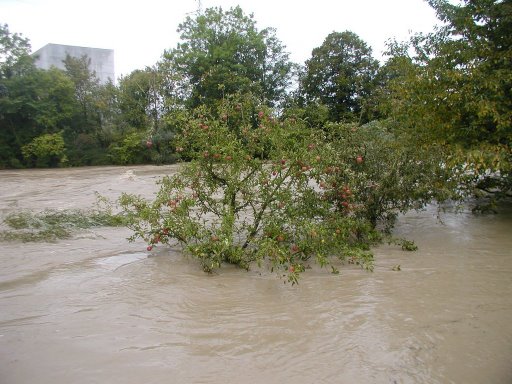 Hochwasser bei men Onkel - 