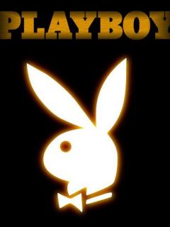 Playboys - 