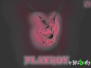 Playboys - 