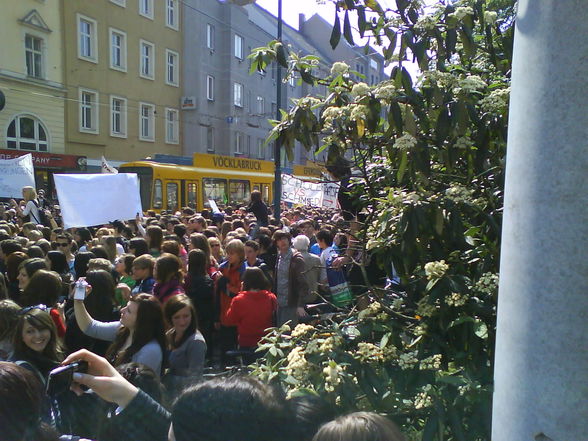 Schülerstreik Linz - 