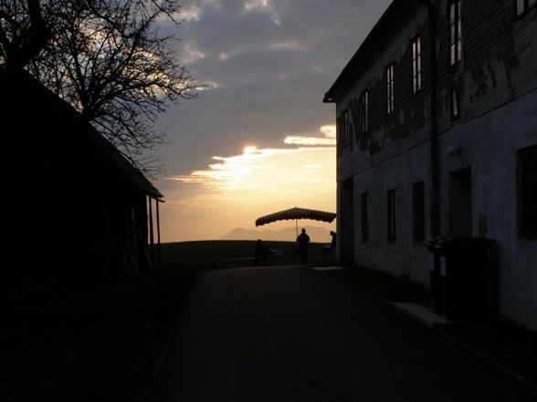 Autoschau in "Neustadtl an der Donau - 