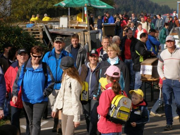 Autoschau in "Neustadtl an der Donau - 