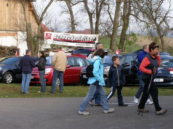 Autoschau in "Neustadtl an der Donau - 