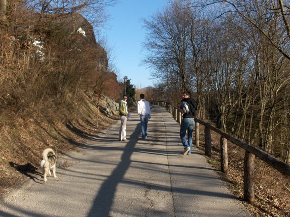 Spaziergang in Waidhofen - 