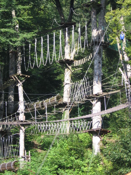 Hochseilklettergarten und Salzburg - 