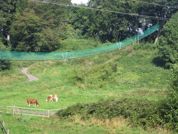 Hochseilklettergarten und Salzburg - 