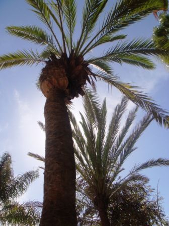 Silvester 09/10 - Gran Canaria - 
