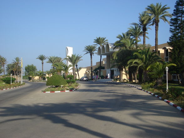 Sommerurlaub Tunesien 08 - 