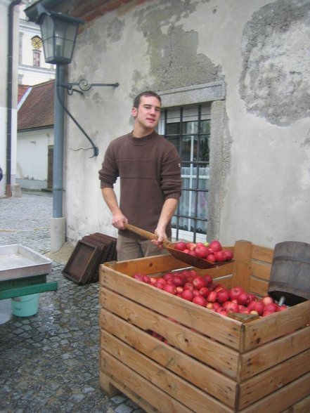 Bauernmarkt in St. Florian - 