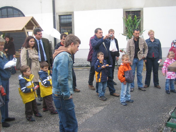 Bauernmarkt in St. Florian - 